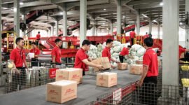 Hingga kuartal III-2025, volume pengiriman J&T Express di Indonesia melonjak lebih dari 60% dibandingkan periode yang sama tahun lalu.Foto: Istimewa