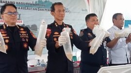Tim Bea Cukai Kepri menggagalkan aksi penyelundupan hampir 129,965 ribu benih lobster yang hendak dibawa keluar Indonesia, Selasa (16/12/2025). Foto: Bea Cukai Kepri