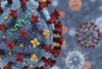 Ilustrasi. Foto: Kemenkes