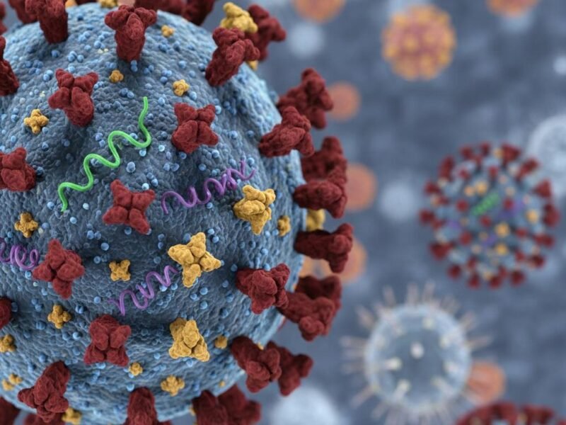 Ilustrasi. Foto: Kemenkes