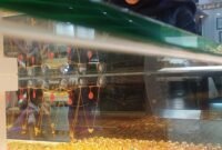 Warga Batam, sedang melihat emas perhiasan di Toko Emas Bandar Baru, Mega Mall, Selasa (27/1/2026)