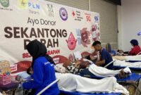 Komunitas Jurnalis Kepri (KJK) menggelar bakti sosial donor darah di Lantai LG Ground Mega Mall Batam Center, Kota Batam, Sabtu (31/1/2026). Foto: Istimewa