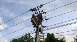 Petugas sedang melakukan perwatan kelitrikan PT PLN Batam. Foto: Istimewa