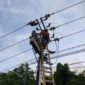 Petugas sedang melakukan perwatan kelitrikan PT PLN Batam. Foto: Istimewa