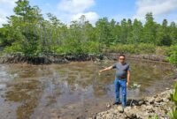 Lokasi penanaman mangrove dalam rangka Hari Pers Nasional (HPN) 2026 di Sungai Tiram, Desa Penaga, Kecamatan Teluk Bintan, Kabupaten Bintan. Foto: Istimewa