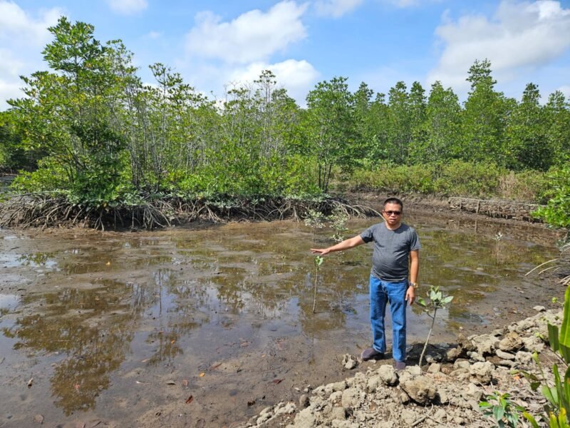 Lokasi penanaman mangrove dalam rangka Hari Pers Nasional (HPN) 2026 di Sungai Tiram, Desa Penaga, Kecamatan Teluk Bintan, Kabupaten Bintan. Foto: Istimewa