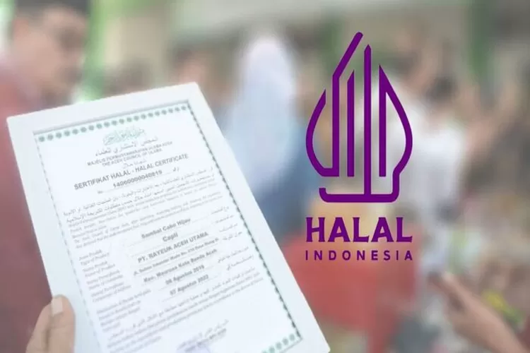 Kabar gembira di awal tahun 2026 ini bagi pelaku Usaha Mikro dan Kecil (UMK) di seluruh Indonesia, Badan Penyelenggara Jaminan Produk Halal (BPJPH) Republik Indonesia kembali membuka kuota Sertifikasi Halal Gratis atau SEHATI Tahun 2025. Foto: Istimewa