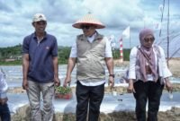 Wakil Gubernur Provinsi Kepulauan Riau, Nyanyang Haris Pratamura, menghadiri kegiatan penanaman bibit cabai hijau dan cabai merah perdana yang digelar di Pantai Halona, Galang Baru, Batam, Kamis (8/1/2026). Foto: Humas Diskominfo Kepri