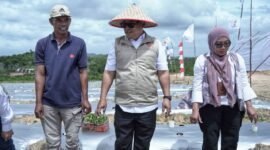 Wakil Gubernur Provinsi Kepulauan Riau, Nyanyang Haris Pratamura, menghadiri kegiatan penanaman bibit cabai hijau dan cabai merah perdana yang digelar di Pantai Halona, Galang Baru, Batam, Kamis (8/1/2026). Foto: Humas Diskominfo Kepri