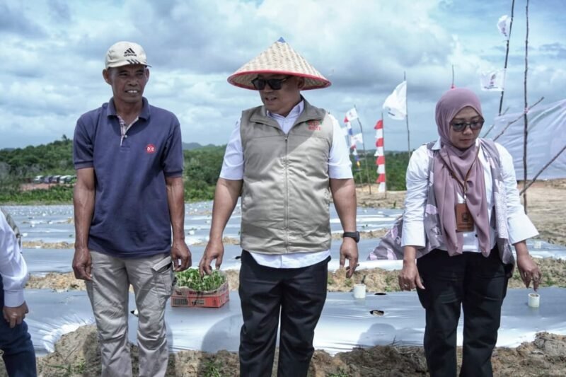 Wakil Gubernur Provinsi Kepulauan Riau, Nyanyang Haris Pratamura, menghadiri kegiatan penanaman bibit cabai hijau dan cabai merah perdana yang digelar di Pantai Halona, Galang Baru, Batam, Kamis (8/1/2026). Foto: Humas Diskominfo Kepri