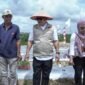 Wakil Gubernur Provinsi Kepulauan Riau, Nyanyang Haris Pratamura, menghadiri kegiatan penanaman bibit cabai hijau dan cabai merah perdana yang digelar di Pantai Halona, Galang Baru, Batam, Kamis (8/1/2026). Foto: Humas Diskominfo Kepri