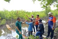 Sebelum aksi penanaman mangrove, Komunitas Jurnalis Kepri (KJK Kepri) meninjau kawasan Sungai Tiram, Desa Penaga, Kabupaten Bintan, Sabtu (7/2/2026). Foto: Istimewa