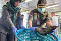 Karantina Kepri, ekspor perdana ikan hidup dari Natuna sebanyak 8,3 ton ikan hidup senilai Rp861 juta ke Hong Kong. Foto