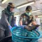 Karantina Kepri, ekspor perdana ikan hidup dari Natuna sebanyak 8,3 ton ikan hidup senilai Rp861 juta ke Hong Kong. Foto