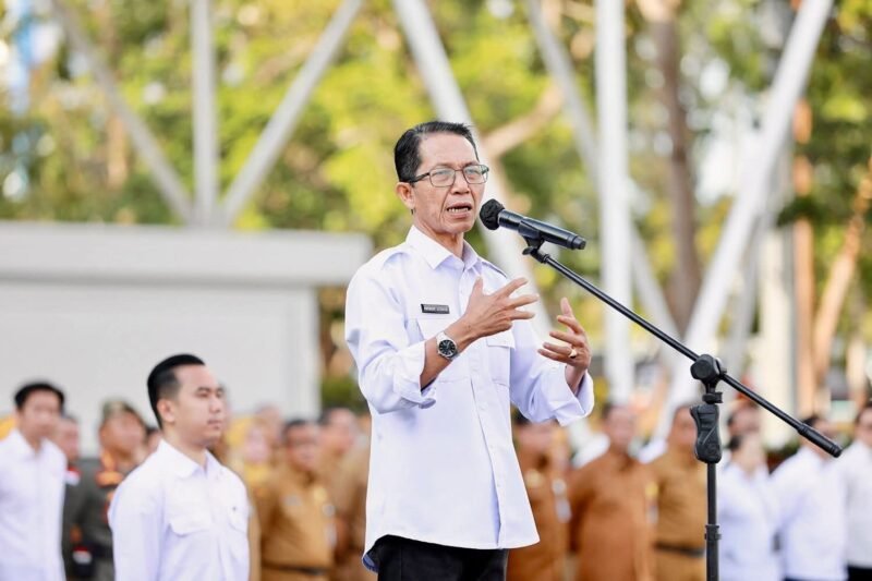 Wali Kota Batam sekaligus Kepala BP Batam Amsakar Achmad