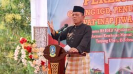 Gubenur Kepulauan Riau Ansar Ahmad