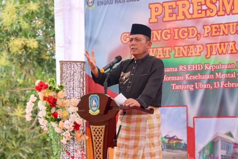 Gubenur Kepulauan Riau Ansar Ahmad