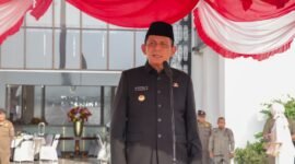 Gubenur Kepulauan Riau Ansar Ahmad. Foto: Humas Diskominfo Kepri