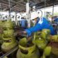 Pertamina Patra Niaga Regional Sumbagut pastikan pasokan LPG guna memastikan kebutuhan energi masyarakat tetap terpenuhi selama Ramadan hingga Idulfitri 2026. Foto: Istimewa