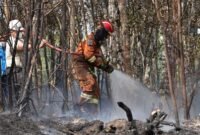 Petugas pemdam kebakaran berupaya memadamkan api di hutan lindung di kawasan Waduk Nongsa, Jumat (27/3/2026). Foto Humas BP Batam