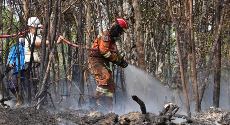 foto slider headline