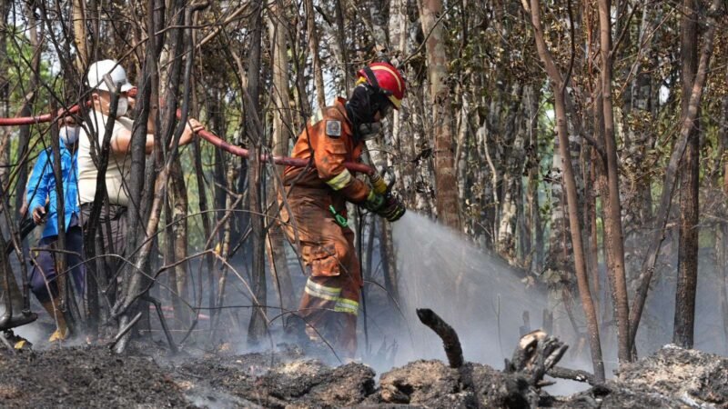 Petugas pemdam kebakaran berupaya memadamkan api di hutan lindung di kawasan Waduk Nongsa, Jumat (27/3/2026). Foto Humas BP Batam