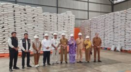 Wakil Gubernur Kepulauan Riau, Nyanyang Haris Pratamura, meninjau langsung stok bahan pokok di Gudang Bulog Batam, Batu Ampar, Senin (2/3/2026). Foto: Istimewa