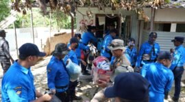 Tim Terpadu (Timdu) Kota Batam melaksanakan penertiban bangunan ilegal di Kelurahan Sei Binti, Kecamatan Sagulung, Kamis (16/4/2026). Foto: Istimewa