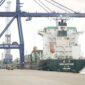 Volume bongkar muat peti kemas mencapai 187 ribu TEUs, naik 12 persen dibanding periode yang sama tahun 2025 sebesar 166 ribu TEUs. Foto: Istimewa