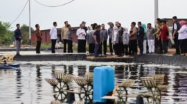 Tim reses Komisi IX DPR RI meninjau tambak udang vaname milik PT Win Win Shrimp di Tanjungpinang, Rabu (22/4/2026). Foto: Diskominfo Kepri