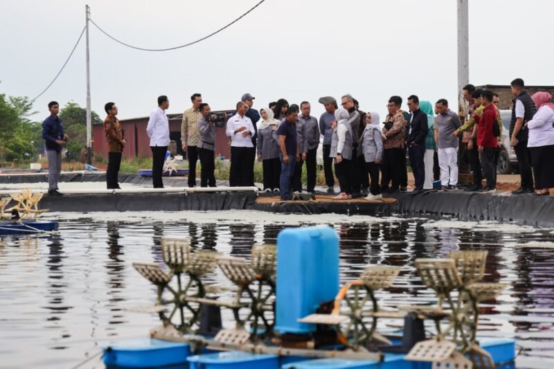 Tim reses Komisi IX DPR RI meninjau tambak udang vaname milik PT Win Win Shrimp di Tanjungpinang, Rabu (22/4/2026). Foto: Diskominfo Kepri
