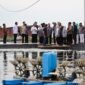 Tim reses Komisi IX DPR RI meninjau tambak udang vaname milik PT Win Win Shrimp di Tanjungpinang, Rabu (22/4/2026). Foto: Diskominfo Kepri
