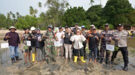 Sebanyak 1.000 bibit mangrove di pesisir Pulau Ngenang, Kecamatan Nongsa, Batam, ditanam, Kamis (21/5/2026). Foto: Istimewa