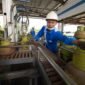 Pertamina Patra Niaga Regional Sumbagut menambah 709.120 tabung LPG subsidi 3 Kg selama libur panjang Kenaikan Isa Almasih 2026. Foto: Istimewa