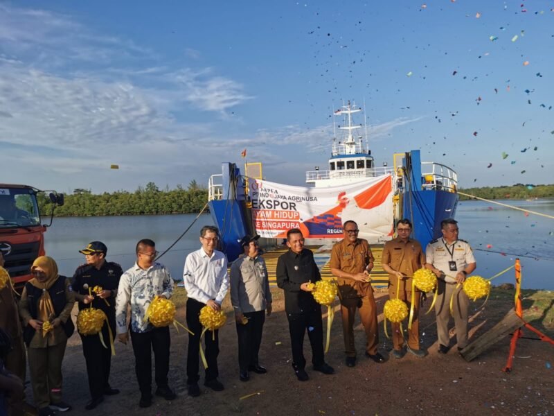 Ekspor ayam hidup dilakukan PT Ciomas Adisatwa dan PT Indojaya Agrinusa (Japfa Group) di Kabupaten Bintan. Foto: Istimewa