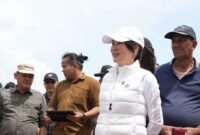 Wakil Kepala BP Batam, Li Claudia Chandra. Foto: Humas BP Batam
