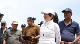 Wakil Kepala BP Batam, Li Claudia Chandra. Foto: Humas BP Batam
