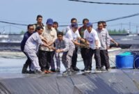 Presiden RI Prabowo Subianto melakukan panen raya udang vannamei di lokasi Budidaya Udang Berbasis Kawasan (BUBK) Kebumen, Jawa Tengah, Sabtu (23/5/2026).  Dok: KKP
