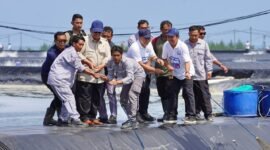 Presiden RI Prabowo Subianto melakukan panen raya udang vannamei di lokasi Budidaya Udang Berbasis Kawasan (BUBK) Kebumen, Jawa Tengah, Sabtu (23/5/2026).  Dok: KKP