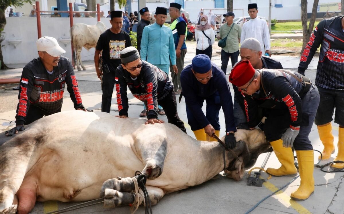 Sekda Batam, Firmansyah, melaksanakan penyembelihan hewan kurban di Masjid Agung Raja Hamidah Batam. Tahun ini, Pemko Batam menyalurkan 66 hewan kurban. Foto: Humas Diskominfo Batam