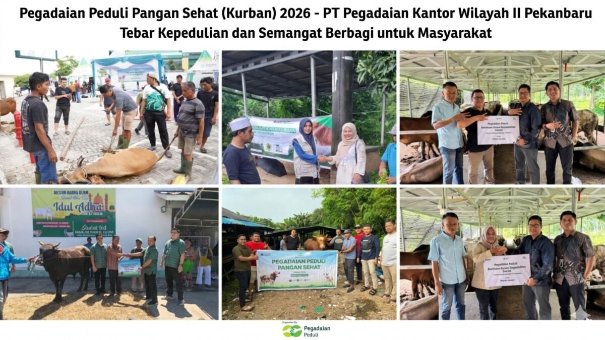 PT Pegadaian Kantor Wilayah II Pekanbaru kembali menggelar program Pegadaian Peduli Pangan Sehat (Kurban) 2026 pada Hari Raya Iduladha 1447 H. Foto: Istimewa