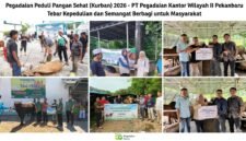 PT Pegadaian Kantor Wilayah II Pekanbaru kembali menggelar program Pegadaian Peduli Pangan Sehat (Kurban) 2026 pada Hari Raya Iduladha 1447 H. Foto: Istimewa