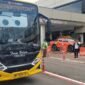 Layanan Bus Trans Batam rute Bandara Internasional Hang Nadim mulai 2 Juli 2026. Foto: Istimewa