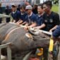 Dalam rangka Hari Raya Idul Adha 1447 Hijriah, Badan Pengusahaan (BP) Batam melalui Badan Koordinasi Dakwah Islam (BKDI) menyembelih 33 hewan kurban, Jumat (29/5/2026). Foto: Humas BP Batam
