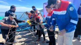 Pertamina Patra Niaga Integrated Terminal (IT) Teluk Kabung menanam terumbu karang di perairan Pulau Pasumpahan, Kota Padang,. Foto: Istimewa