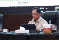 Menteri Dalam Negeri (Mendagri) Tito Karnavian. ANTARA/HO-Kemendagri