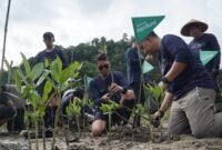 Telkomsel menanam 3.000 pohon mangrove di Nagari Sungai Pinang, Kabupaten Pesisir Selatan, Sumatera Barat, Sabtu (4/7/2026). Foto: Istimewa