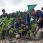 Telkomsel menanam 3.000 pohon mangrove di Nagari Sungai Pinang, Kabupaten Pesisir Selatan, Sumatera Barat, Sabtu (4/7/2026). Foto: Istimewa