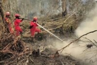 Pasukan Manggala Agni Kemenhut melakukan pemadaman karhutla. (Foto: Humas Kemenhut)