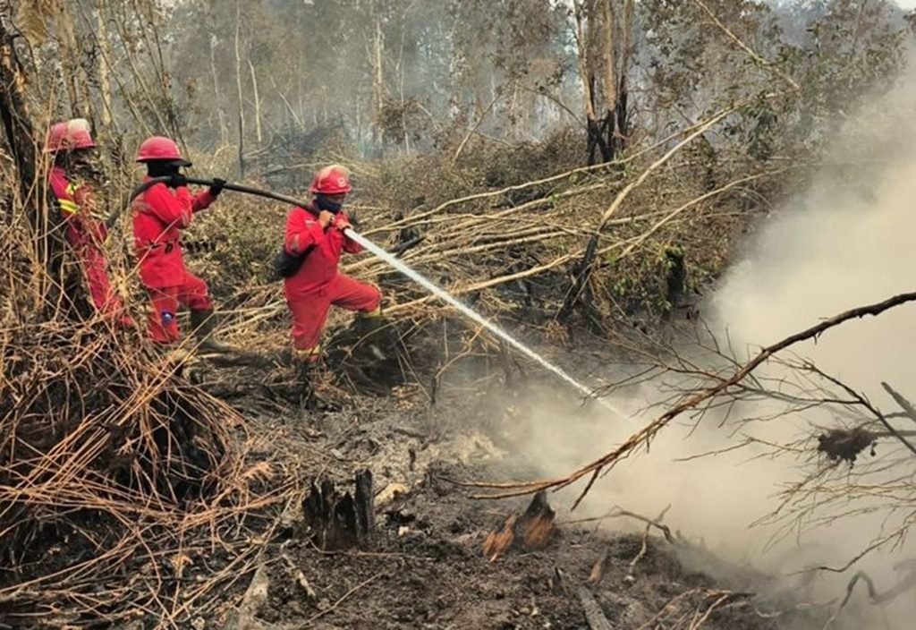 Pasukan Manggala Agni Kemenhut melakukan pemadaman karhutla. (Foto: Humas Kemenhut)